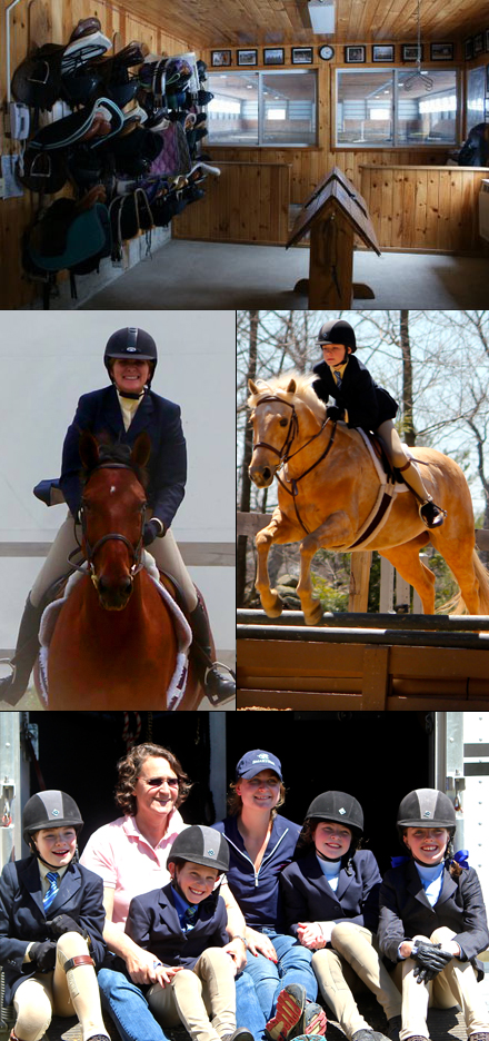 boarding, training, lessons
